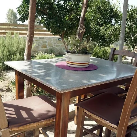 Panagiota - Oasis Appartement *