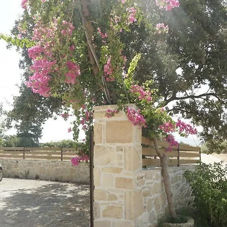 Panagiota - Oasis Kokkinos Pirgos (Heraklion)
